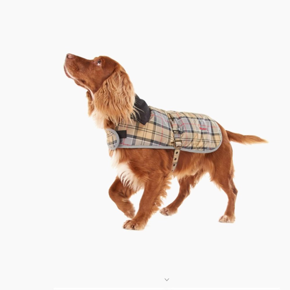 Barbour Wetherham Tartan Dog Coat Dress Tartan MSRP$110 Lightweight Waterproof